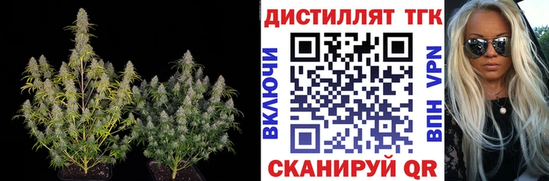 Купить  Сергач  Дистиллят ТГК Wax 
